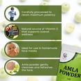 thumbnail image 4 of Polvo de Amla YOGI’S GIFT 454 g Pura Grosella India, 4 of 5
