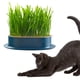 thumbnail image 4 of Catter Césped Hydroponic Cat Grass Bandeja para Facilitar El Crecimiento (oscuro) Azul, 4 of 9