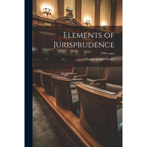 Elements of Jurisprudence (Paperback)