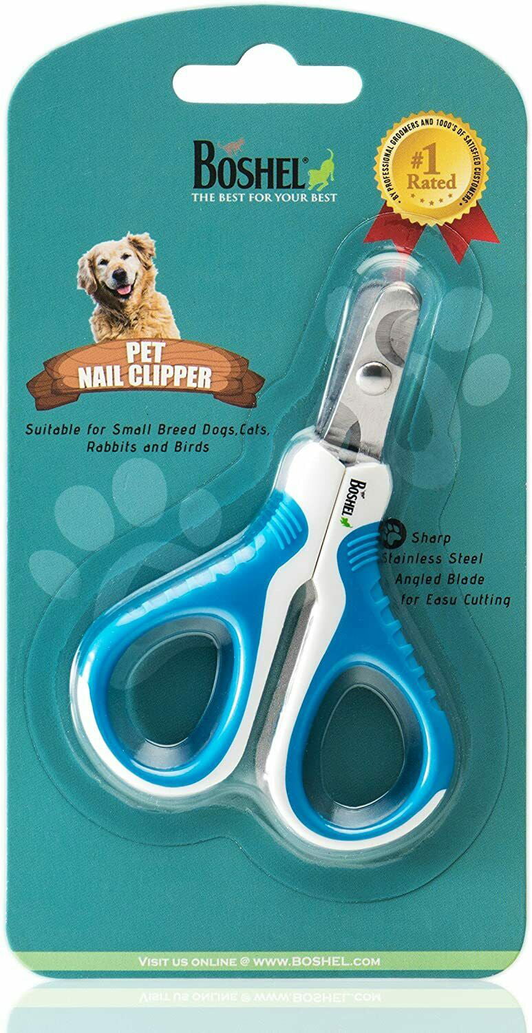 7 best dog nail clippers, according to experts