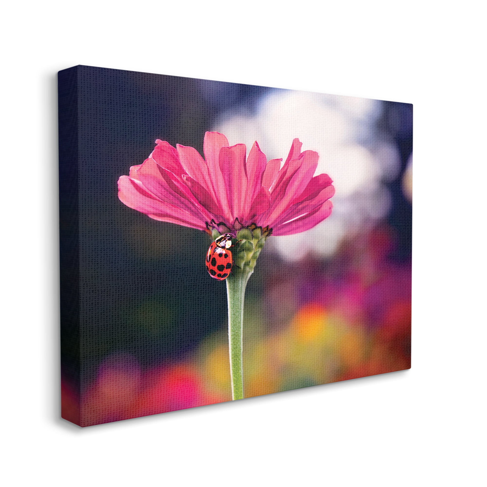 Stupell Industries Ladybug with Pink Flower Animals & Insects Photography Gallery Wrapped Canvas Print Wall Art, 20 x 16