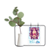 thumbnail image 1 of D tazas tetas pechos Bra Savage Jarrones colgantes de vidrio transparente Decoración Botella, 1 of 4