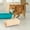 Orange-Free Size/OR, variant on Tgbvmt Soft Catnip Cat Pillow Interactive Toy Cozy Chew Teething Boredom Relief Hunting Instinct Stimulation for Indoor Kittens Adult Cats Daily Play Pat Pounce Pet Toy Decoration Decor