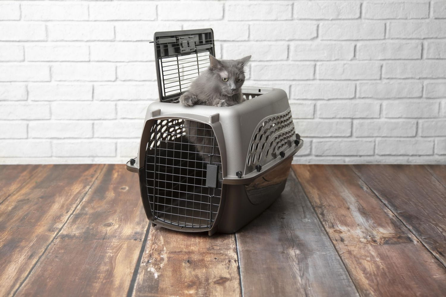 PETMATE NICHE A 2 PORTES 24" POUR CHIENS ET CHATS