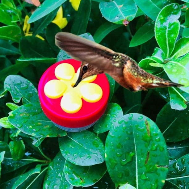 Alimentador de colibrí de mano Mini contenedor de comida de semillas de pájaros de jardín (rojo) Ndcxsfigh Para estrenar