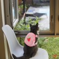 thumbnail image 5 of Arnés de mochila para mascotas con correa, paquete de 3 chalecos de malla suave bordados con fresas para mascotas y correa con gancho giratorio de 360° para gatitos, rosa, 5 of 5