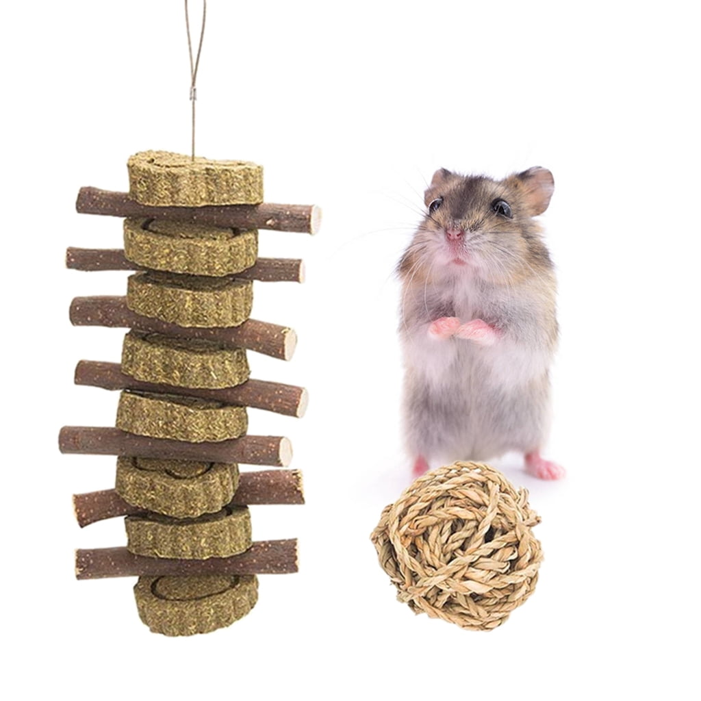 BQBQERT 10Pcs Hamster Chew Set Natural Wooden Chinchillas Accessories Dumbbells Exercise Roller Teeth Care