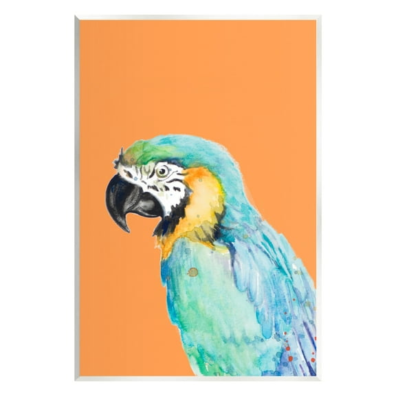 Stupell Industries Tropical Macaw Parrot Portrait Bold Rainforest Bird Graphic Art Unframed Art Print Wall Art, Design by Patricia Pinto