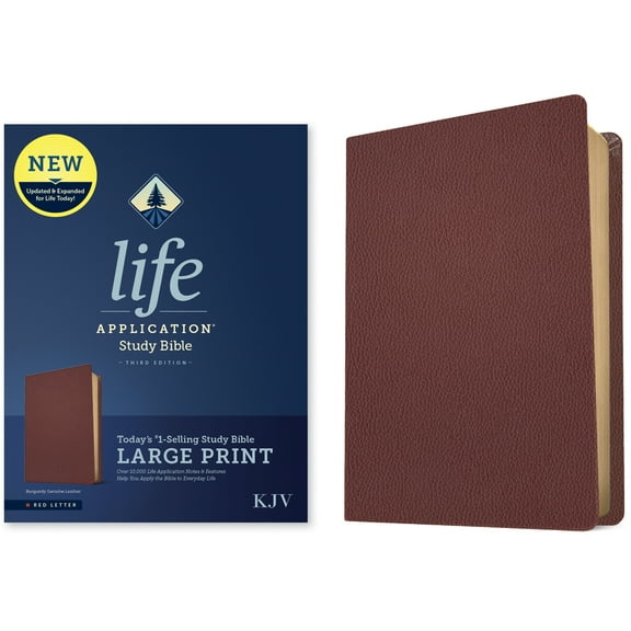 KJV Life Application Study Bible, Third Edition, Large Print (Genuine Leather, Burgundy, Red Letter), (Hardcover)