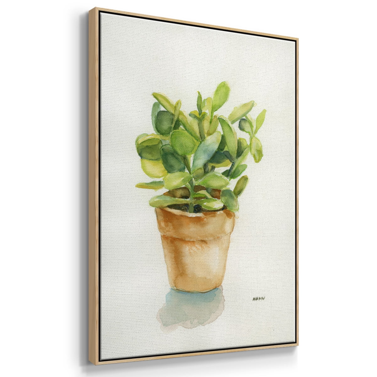 Succulent I Framed Premium Gallery Wrapped Canvas - Ready to Hang - 27 x 41 - Natural Wood Floating Frame