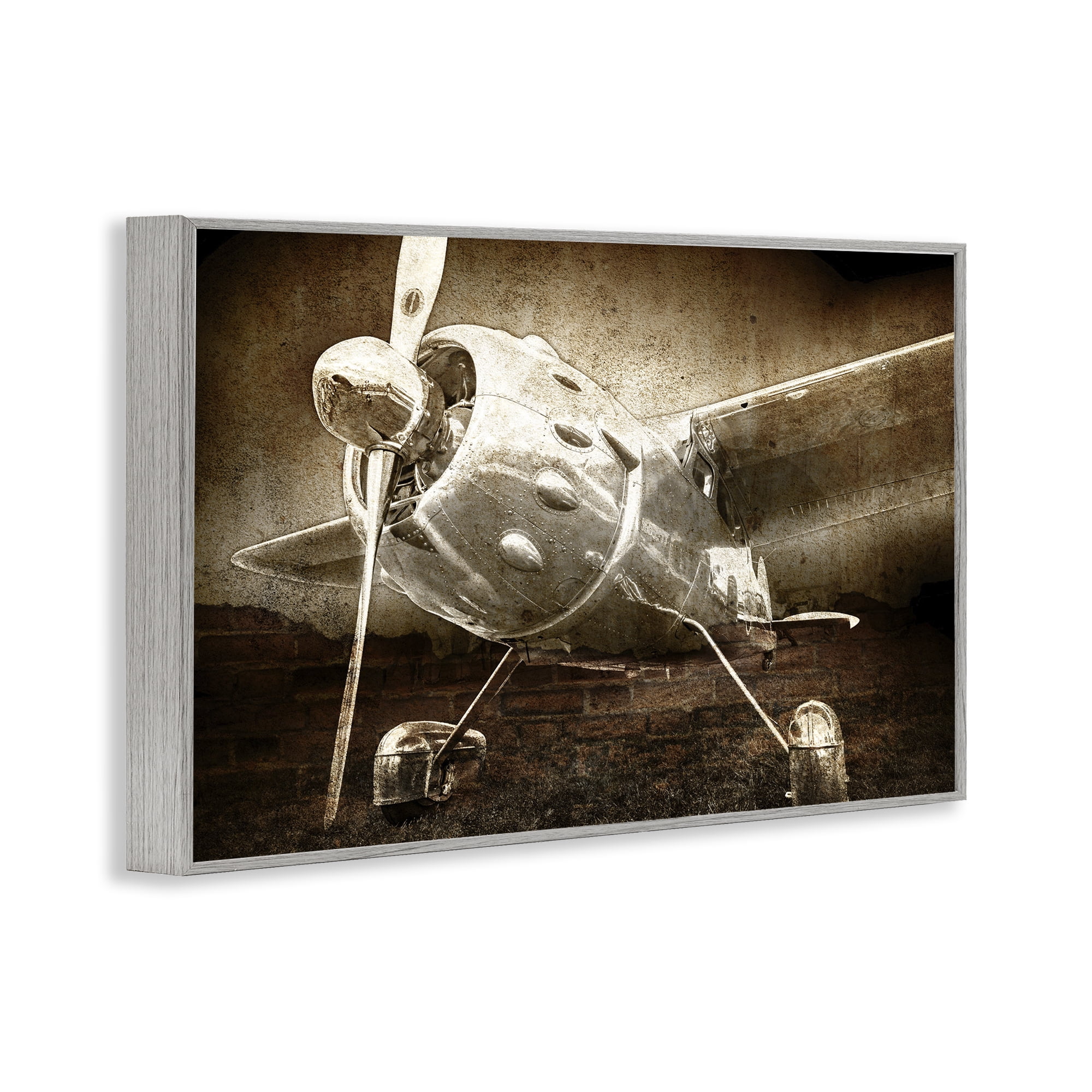 Stupell Industries Taking Flight Vintage Gray Framed Giclee Art, design by Kim Allen
