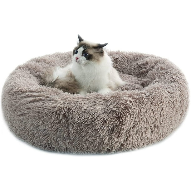 Furry store dog beds