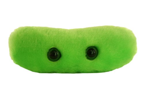 giant microbes tuberculosis