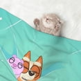 thumbnail image 2 of Lsque Bluey Pattern Waterproof Throw Blanket Pet Blanket for Dogs & Indoor Cats, Washable - Shaggy Plush Calming Long Faux Fur & Velvet Dog Blanket -, 2 of 8