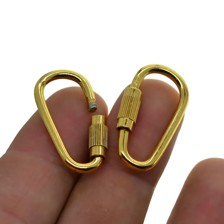  10 Pieces Mini Titanium Locking Clips Durable D-Ring