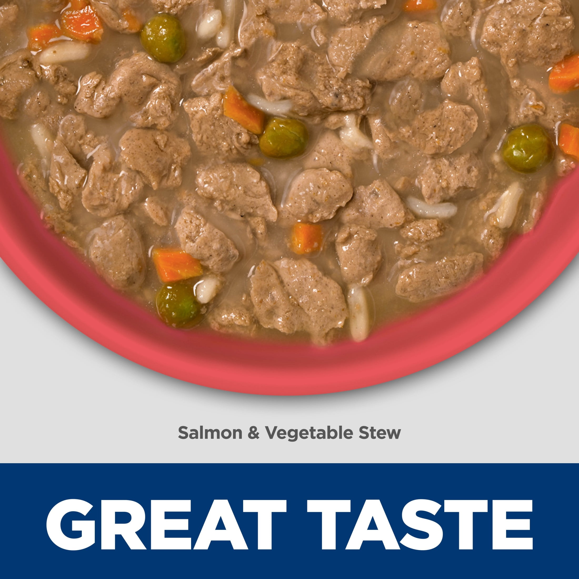 Hill's Science Diet Sensitive Stomach & Skin Salmon Wet Dog Food for Puppies, 12.5oz Can 12pk