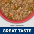 thumbnail image 6 of Hill's Science Diet Sensitive Stomach & Skin Salmon Wet Dog Food for Puppies, 12.5oz Can 12pk, 6 of 8