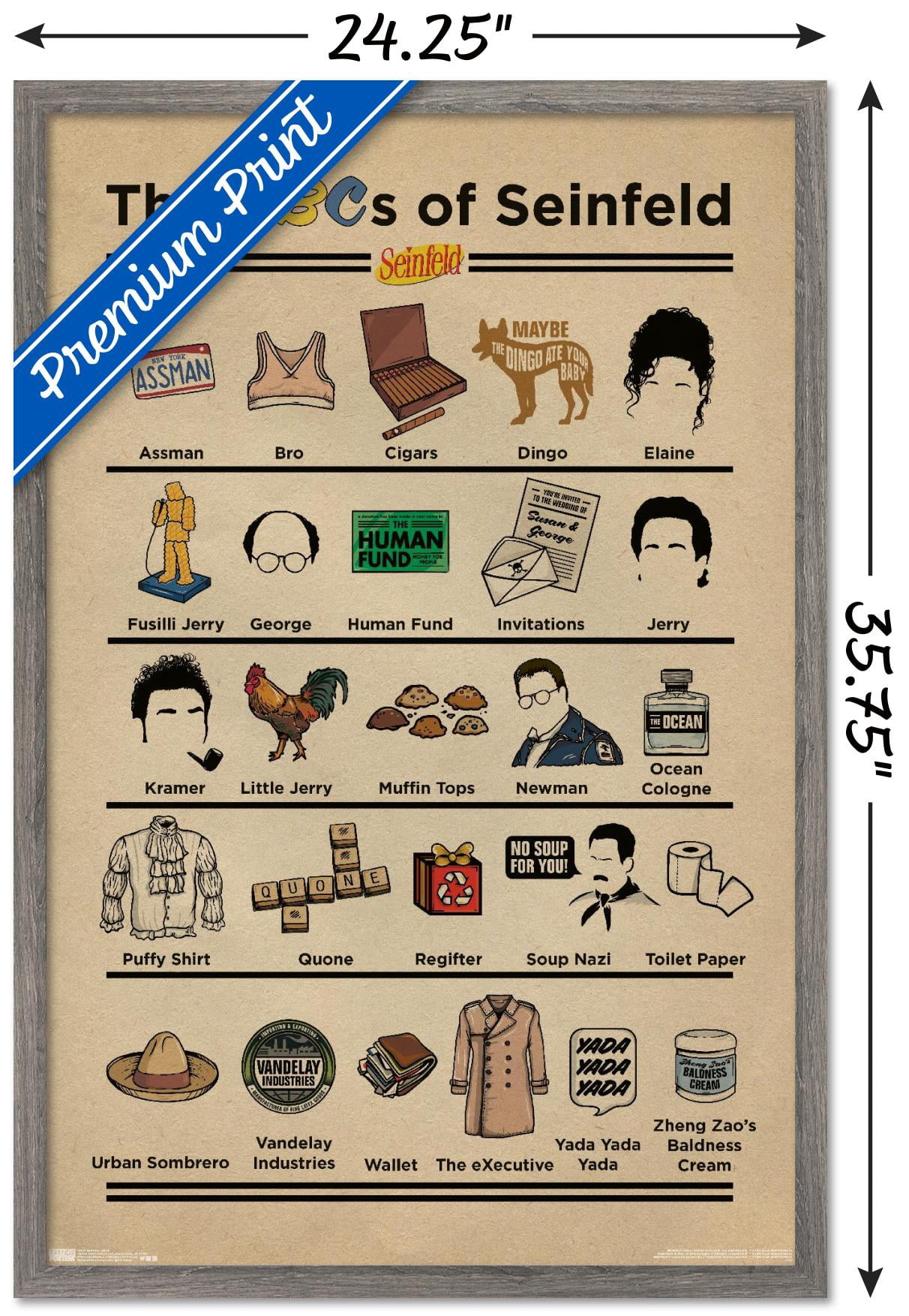Seinfeld - Abcs Wall Poster, 22.375" x 34", Framed