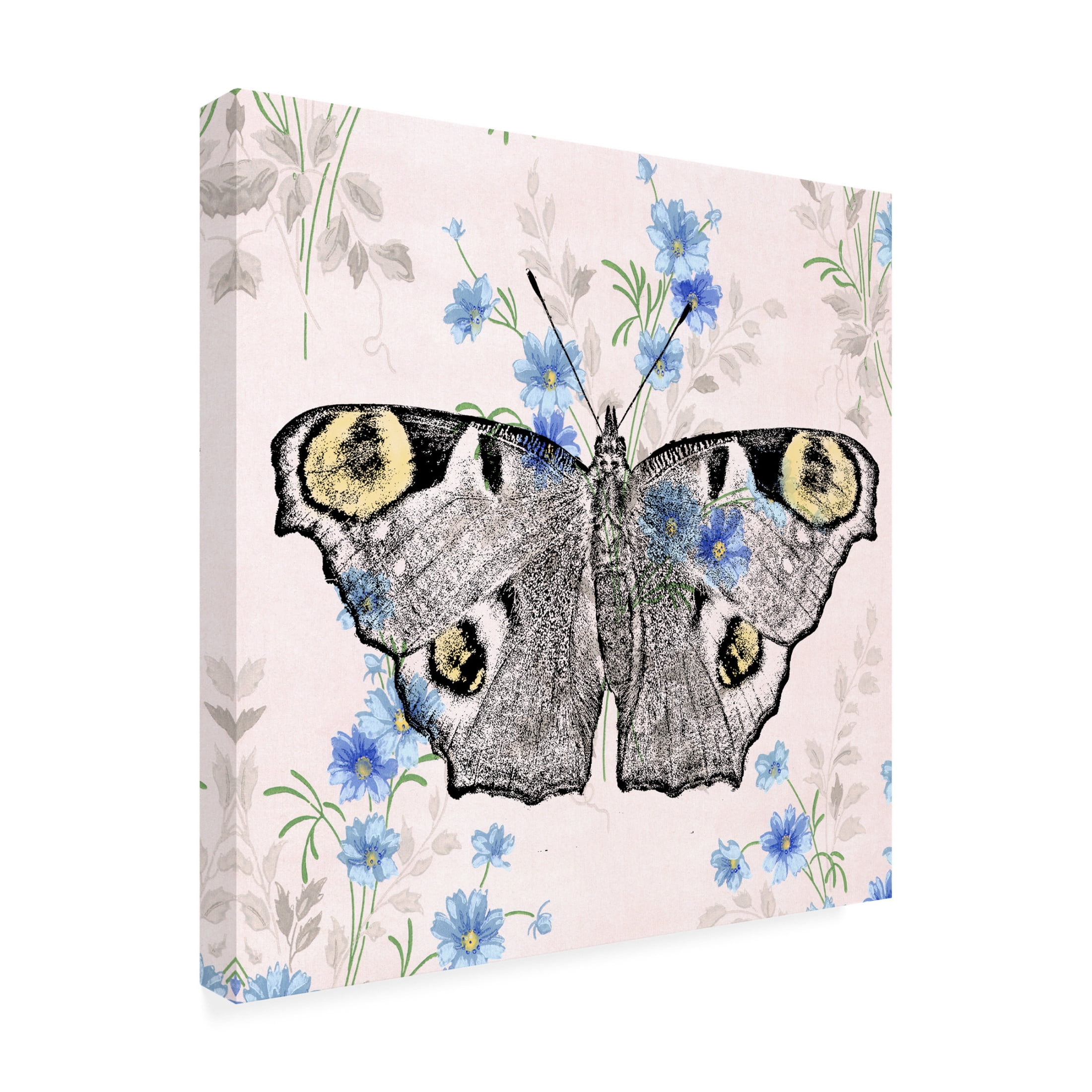 Canvas Wall Art - Dean Russo- Exclusive 'Moth Wallpaper Square' Wall Art for Living Room, Bedroom, or Office Décor by Trademark Fine Art - 35 x 35 Inches