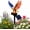 #B, variant on Personalized Solar Eagle Garden Light, America 250th Anniversary Solar Powered Garden Light with Stake, Patriotic Memorial Day Decor, 4th of July Outdoor Decorations for Patio, Yard & Lawn