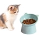 thumbnail image 1 of Cuenco para gatos, cuenco elevado para gatos, cuenco antivómitos para gatos, cuenco antideslizante para comida y agua, para perros pequeños y gatos con cara plana, 1 of 5