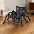 thumbnail image 4 of Collection d'Outils Interactifs Réalistes pour Insectes pour Jeu Éducatif Intérieur Extérieur, 4 of 8