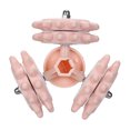 thumbnail image 1 of Masajeador Corporal Eléctrico 3D para Rostro y Cuerpo, Modelo MY-100 en Color Rosa, Verde y Gris, Voltaje de Entrada 110-240V, Incluye Cable de Alimentación y Manual de Usuario, 1 of 6