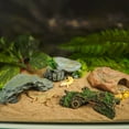 thumbnail image 5 of Life Like Stone Basking Platform Landscape Decoration Cave Shelter House for Reptiles Aquariums and Terrariums Ornament, 5 of 6