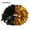 Gold&Black, variant on 1 Pcs Concert Fancy Competition Flower Double hole handle Cheerleading Cheering Ball Club Sport Supplies Cheerleader Pom Poms Dance Party Decorator GOLD&BLACK