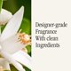 thumbnail image 4 of Recarga de aromas para el hogar Pura & Unify Co. Difusor de aire inteligente para el hogar, 4 of 7