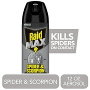 Raid Max Scorpion & Spider Killer Bug Spray, For Indoor and Outdoor Use, 12 oz