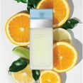 thumbnail image 4 of Dolce & Gabbana Light Blue Eau de Toilette, Perfume for Women, 1.6 fl oz, 4 of 7