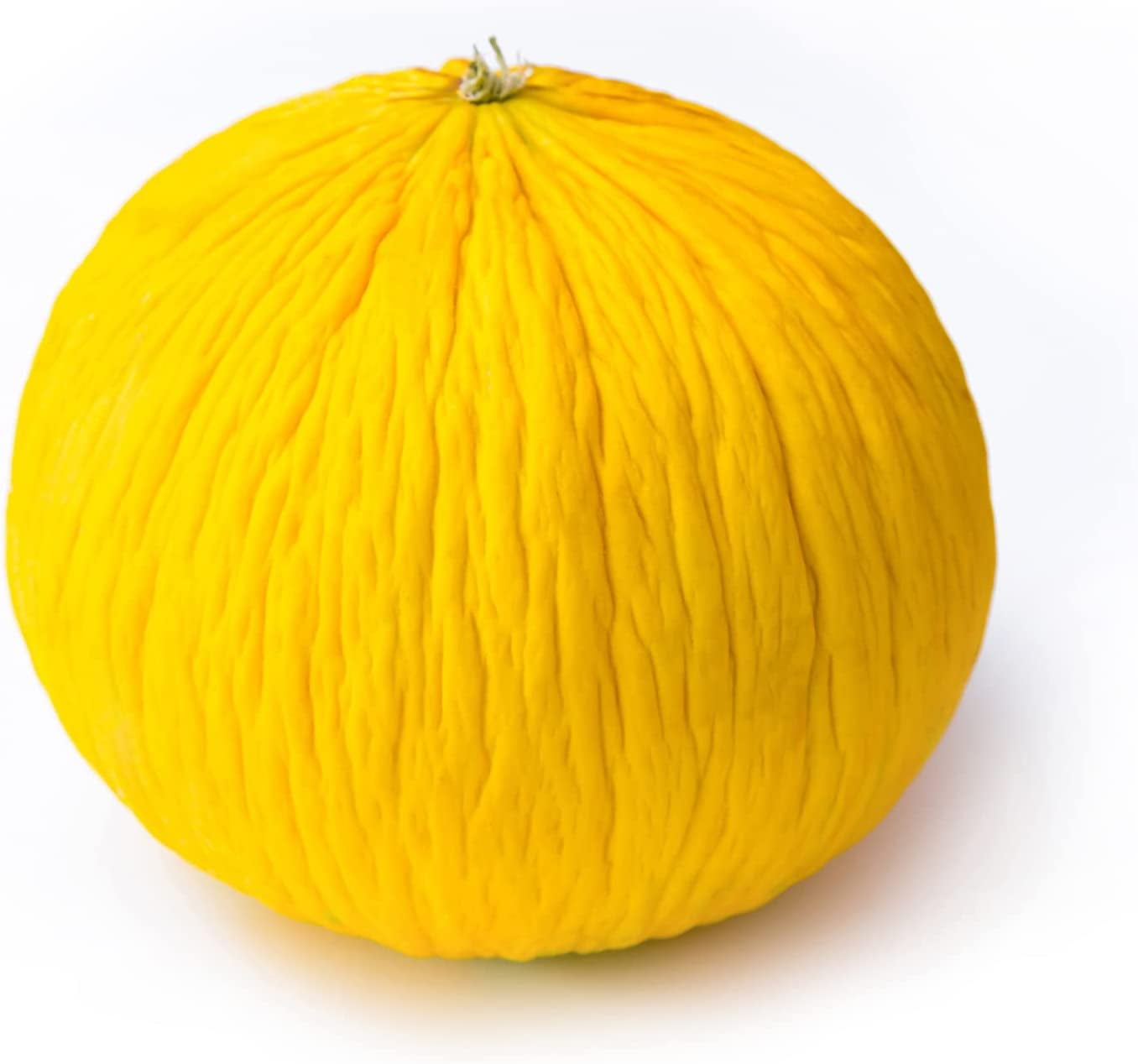 20 Golden Beauty Casaba Melon Seeds for Planting Easy to Grow