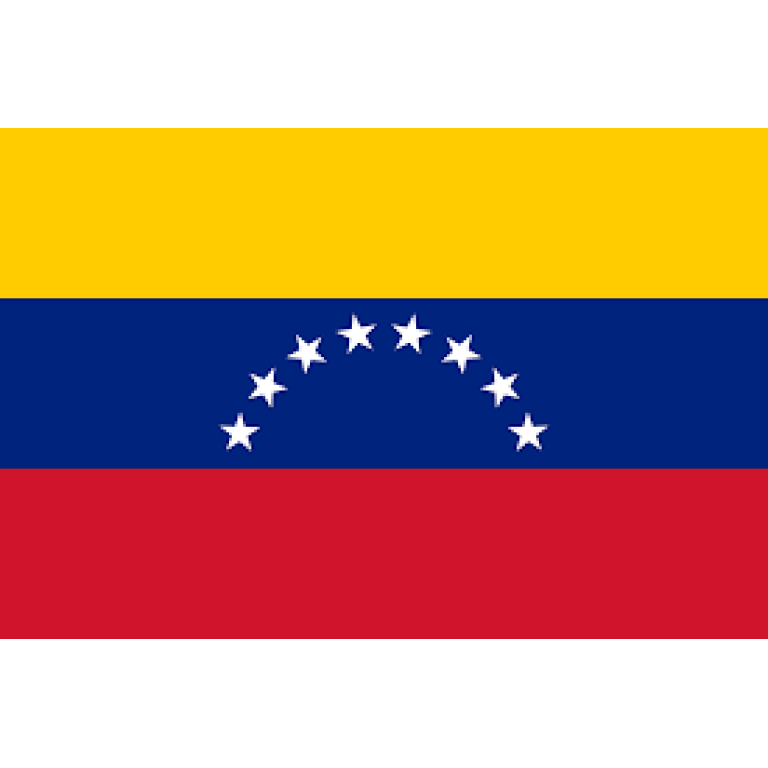  VIKO® Budare para arepas 14.2 in precurado 14 @vikogrills  Plancha Gauchogrillx® Hecho en Venezuela : Hogar y Cocina