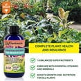 thumbnail image 4 of ⭐ PREMIUM Plant Growth Superfood for All Plants with 18 Essential Vitamins & Minerals - Organic Plant Food Fertilizer - Micro-Fungi and Bio-Organisms for All-Purpose Care - 32 OZ, 4 of 4