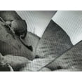 thumbnail image 4 of Ambesonne Black and White Quilted Bedspread Set 3 Pcs, Wild Lioness, King Size,, 4 of 5