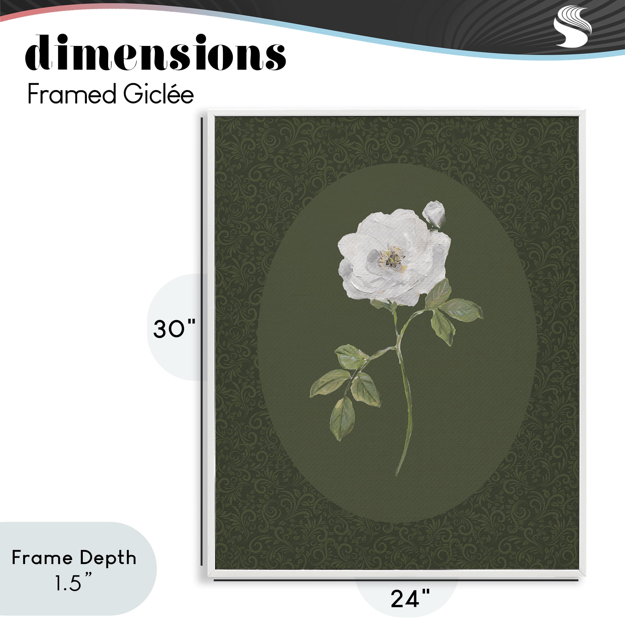 Stupell Industries Emerald & White Oval Rose White Framed Giclee Art, design by Sally Swatland