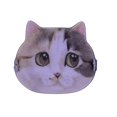 thumbnail image 1 of Cat Cushion Powder Puff Double-sided Wet Dry Use Concealer Foundation Spong, 1 of 8
