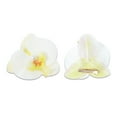 thumbnail image 3 of Unique Bargains 2 Pcs Duckbill Clip Phalaenopsis Faux Pearl Hair Clips for Women White Yellow, 3 of 5