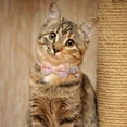thumbnail image 6 of VONTER 4 Pieces Plaid Cat Collar with Bow Tie and Bell Adjustable Kitty Quick Release Collars and for Cat Kitten Puppy Small Pet, 6 of 7