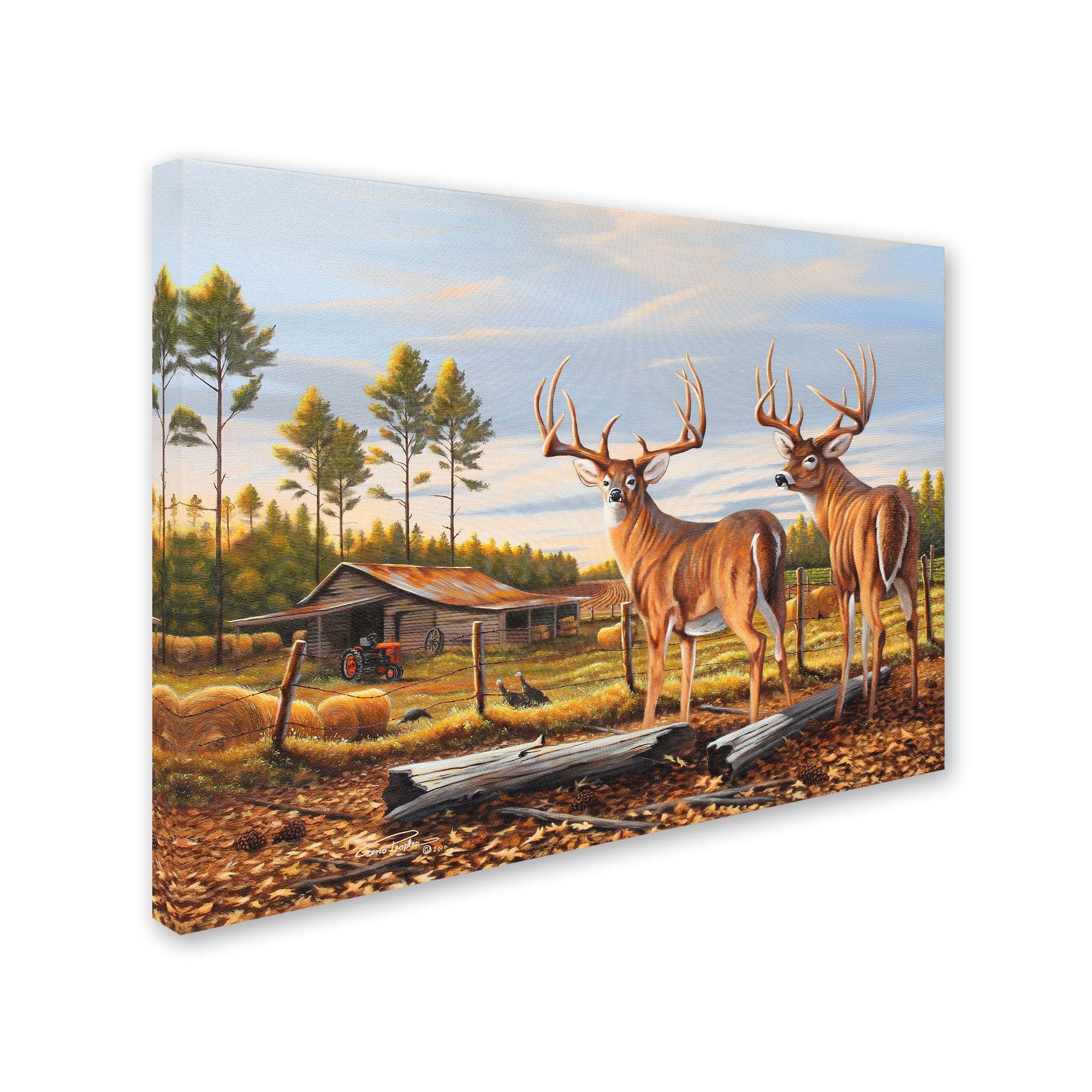 Trademark Fine Art 'Adrenaline Rush' Canvas Art by Geno Peoples