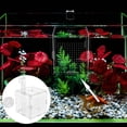 thumbnail image 1 of SWETRACE 1 Ensemble Boîte d'Isolation pour Poisson Acrylique Transparent Carrée avec Trous Ronds pour Propriétaires d'Aquarium 10x10x10 Po, 1 of 5