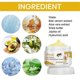 thumbnail image 2 of 1/2/3PCS 60g Bee-Venom Anti-Varicose Soothing Cream, Advanced Vitamin K Cream Reduces Swelling Varicose & Spider Veins, 2 of 5