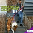 thumbnail image 3 of Katziela Dog Harness Walking Kit and Leash Set in Black Medium for Dogs Pack 1, 3 of 7