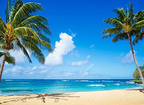 12x12ft Beautiful Sea View Beach Backdrop Seaside Tropical Forest Palm Tree Sand Island Mountains Seascape Photography Background for Wedding Party Events Buseinss Birthday Photo Studio Props