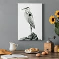 thumbnail image 7 of Shoreline Heron in B&W II Premium Gallery Wrapped Canvas - Ready to Hang, 7 of 7