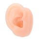 thumbnail image 2 of Modelo de oreja de silicona, simulación de oreja derecha humana Artificial, modelo de exhibición para uso de audífonos, 2 of 8