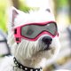 thumbnail image 5 of Adecuado para perros pequeños y medianos Gafas de sol UV, resistentes al viento, a la niebla, al polvo y a la nieve, para paseos al aire libre, 5 of 5