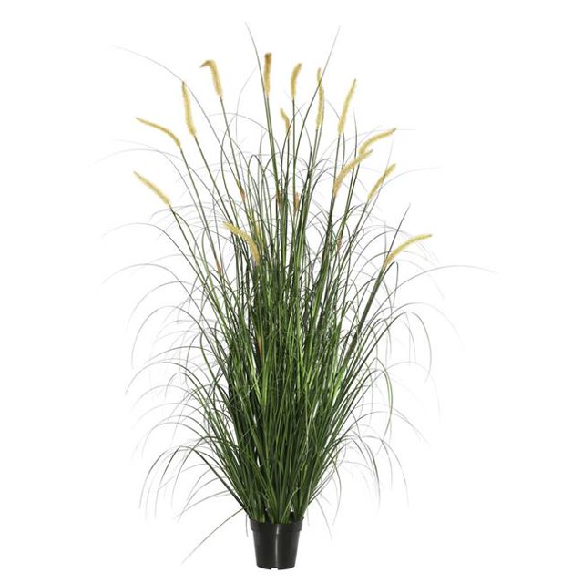 60 in. Foxtail Grass in Pot, Green