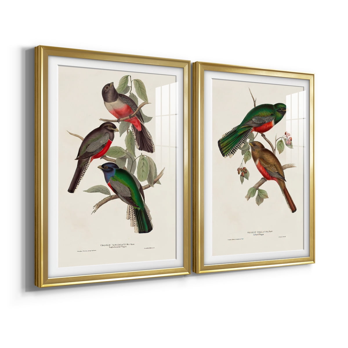 Wexford Home Elegant Trogons V Premium Framed Print, 18.5" x 24.5" - Ready to Hang, Gold (Set of 2)